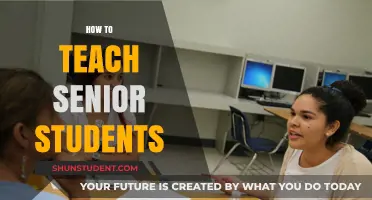 Effective Strategies for Engaging and Teaching Senior Students Successfully