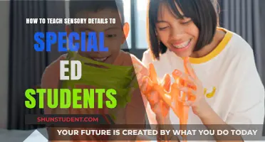 Engaging Special Ed Students: Teaching Sensory Details Through Interactive Learning