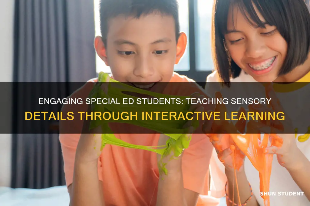 how to teach sensory details to special ed students