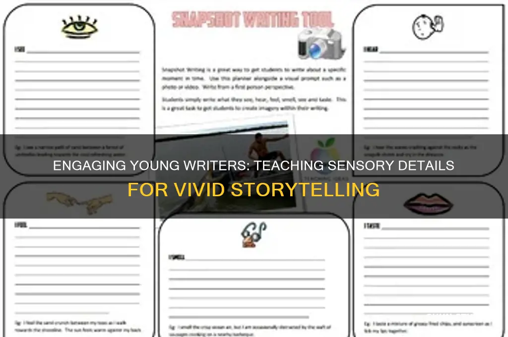 how to teach sensory details to students