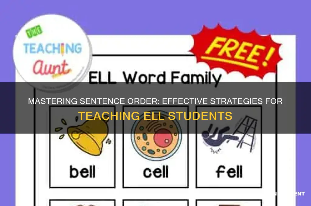 how to teach sentence order to ell students
