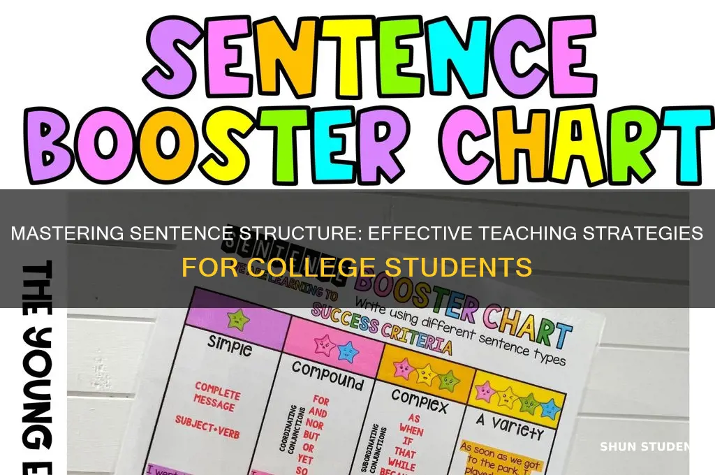 how to teach sentence structure to college students