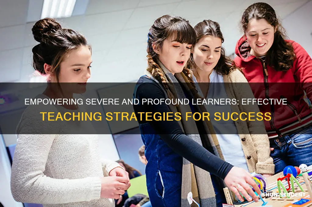 how to teach severe and profound students