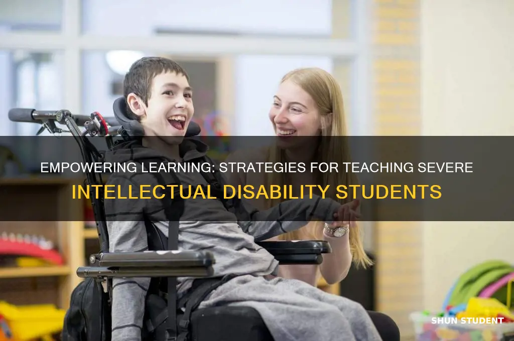 how to teach severe intellectual disability students