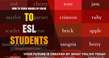 Teaching ESL Students to Identify and Describe Shades of Color