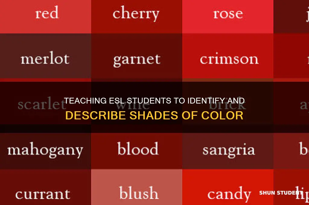 how to teach shades of color to esl students