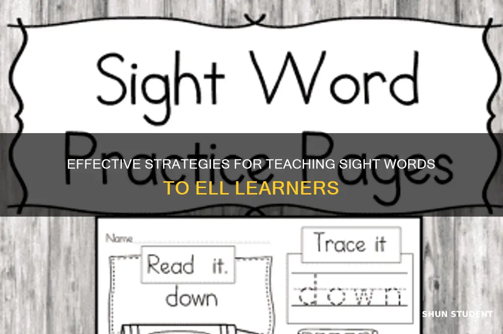 how to teach sight words to ell students