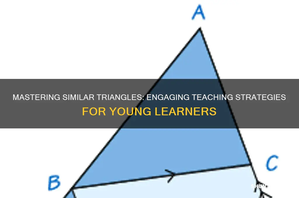 how to teach similar triangles to students