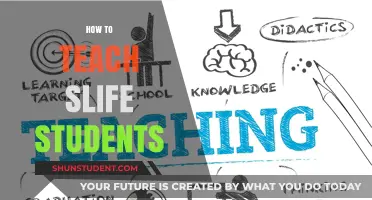 Effective Strategies for Teaching SLIFE Students: A Comprehensive Guide