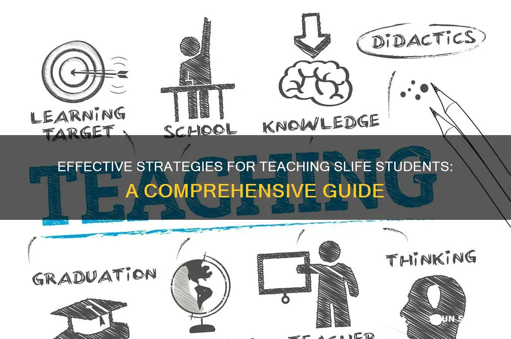 how to teach slife students