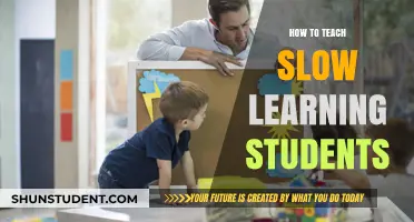 Empowering Slow Learners: Effective Teaching Strategies for Patient Educators