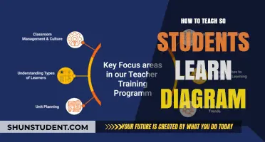 Mastering Visual Learning: Effective Strategies to Teach Diagrams for Student Success