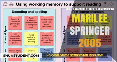 Effective Teaching Strategies: Marilee Springer’s 2005 Guide to Lasting Student Memory