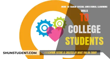 Empowering College Students: Teaching Social-Emotional Learning for Success