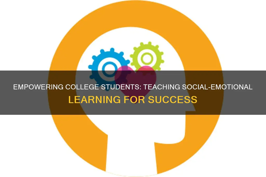 how to teach social emotional learning skills to college students