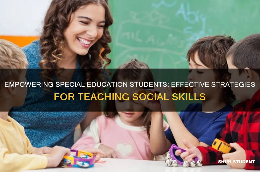 how to teach social skills to special education students