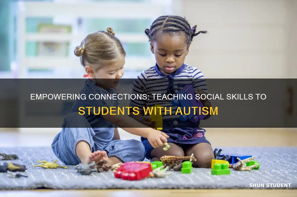how to teach social skills to students with autism
