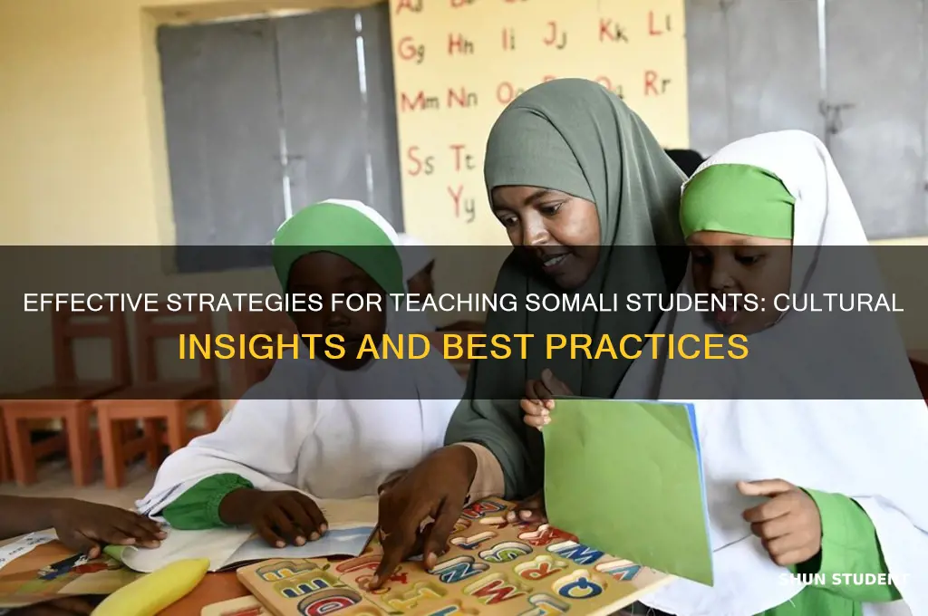 how to teach somali students