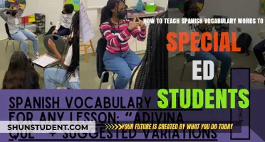 Effective Strategies for Teaching Spanish Vocabulary to Special Ed Students