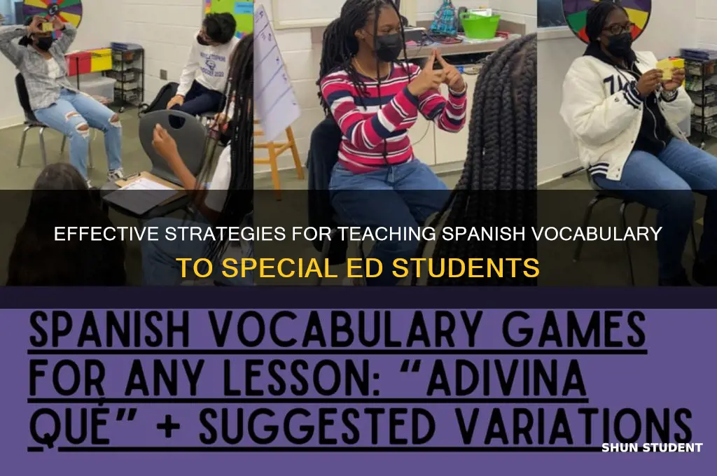 how to teach spanish vocabulary words to special ed students