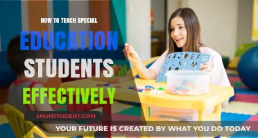 Empowering Special Education: Effective Teaching Strategies for Inclusive Success