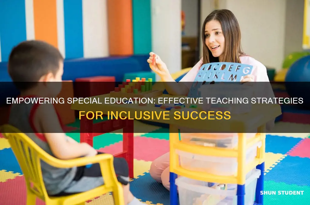 how to teach special education students effectively