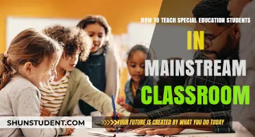 Inclusive Teaching Strategies for Special Education in Mainstream Classrooms