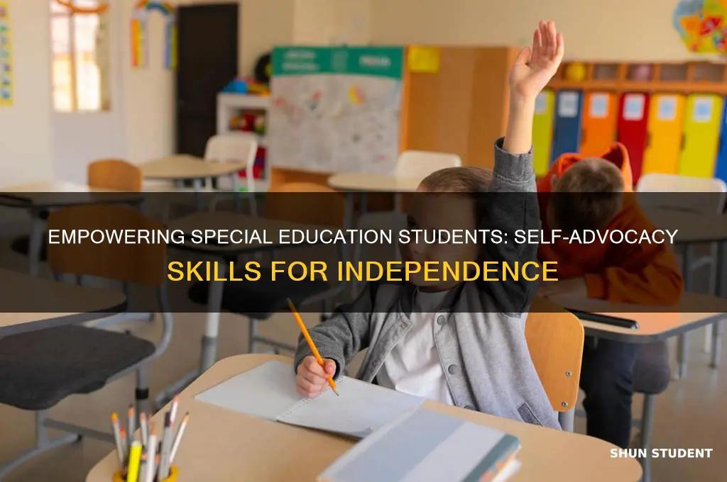 how to teach special education students to advocate for themselves