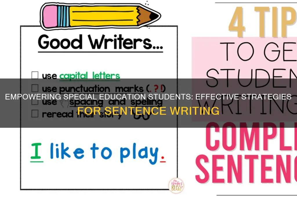 how to teach special education students to write a sentence