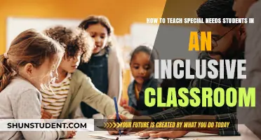 Inclusive Strategies for Teaching Special Needs Students Effectively in Classrooms