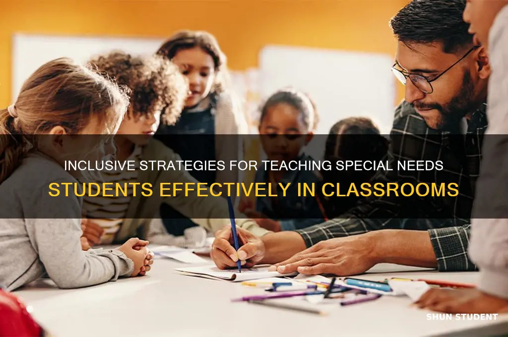 how to teach special needs students in an inclusive classroom
