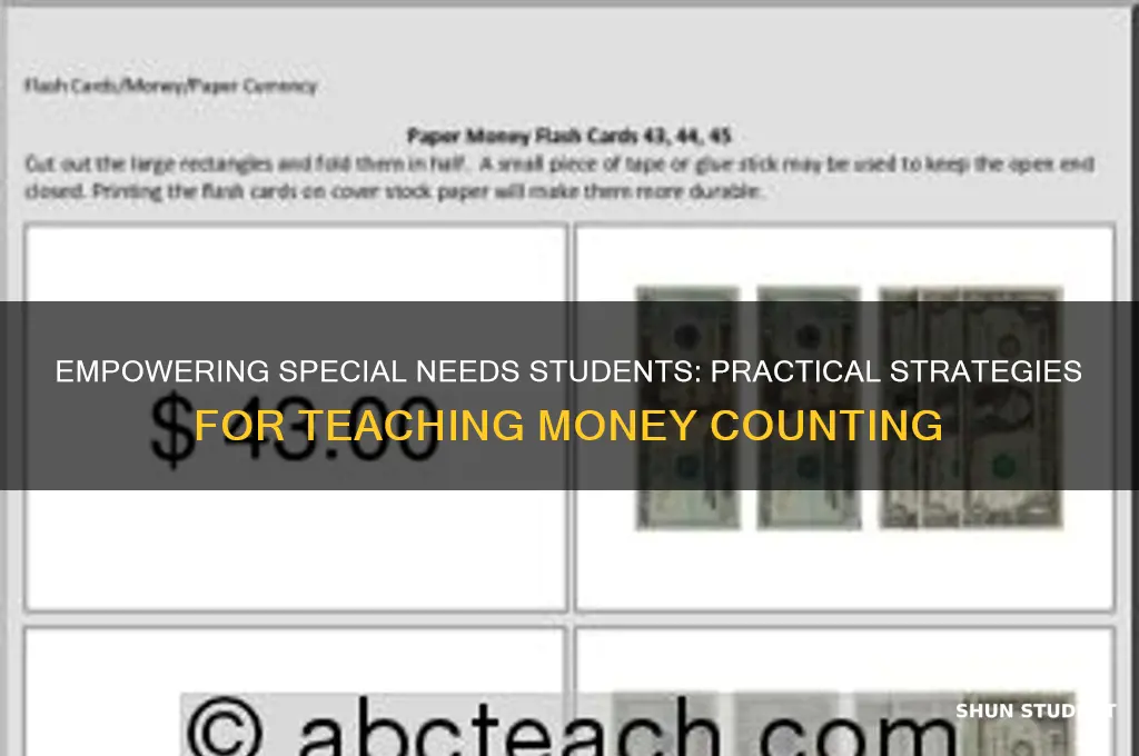 how to teach special needs students to count money