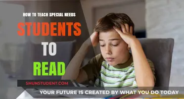 Empowering Special Needs Students: Effective Strategies for Teaching Reading