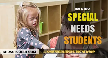 Empowering Educators: Effective Strategies for Teaching Special Needs Students