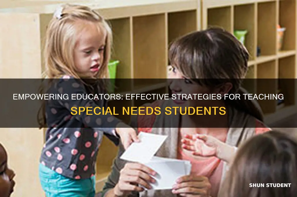 how to teach special needs students