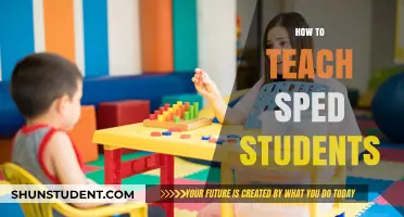 Effective Strategies for Teaching Special Education Students Successfully