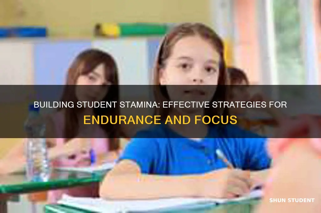 how to teach stamina to students