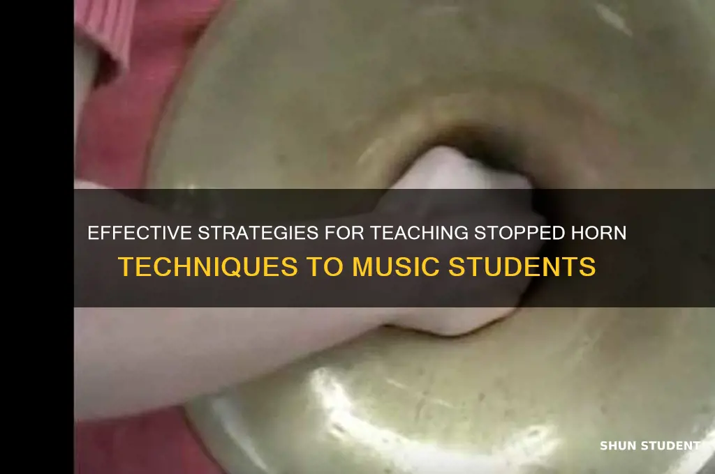 how to teach stopped horn to students
