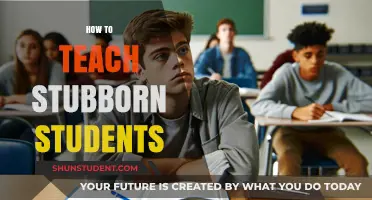 Strategies for Engaging and Motivating Stubborn Students in the Classroom