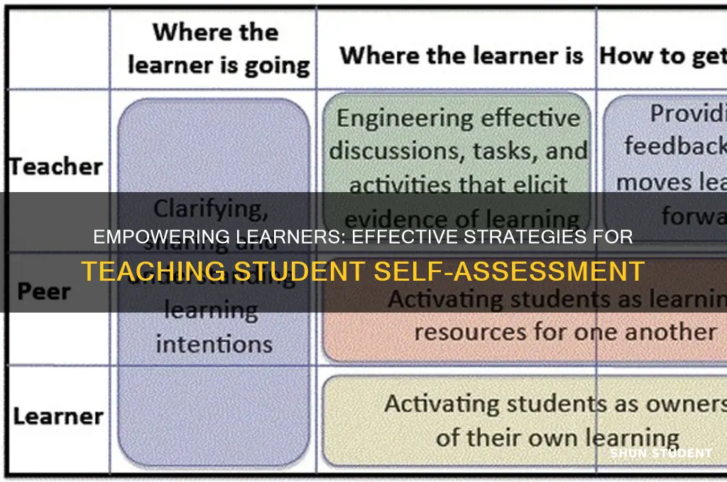 how to teach student self assessment