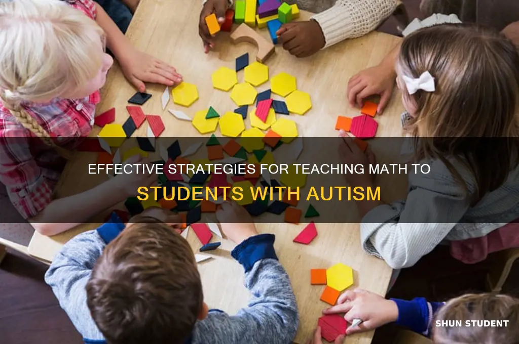 how to teach student with autism math problem