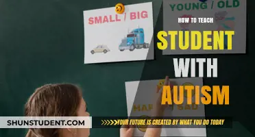Effective Strategies for Teaching Students with Autism in the Classroom