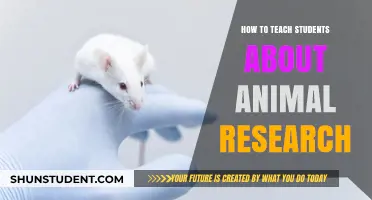 Teaching Animal Research Ethics: Engaging Students in Compassionate Science