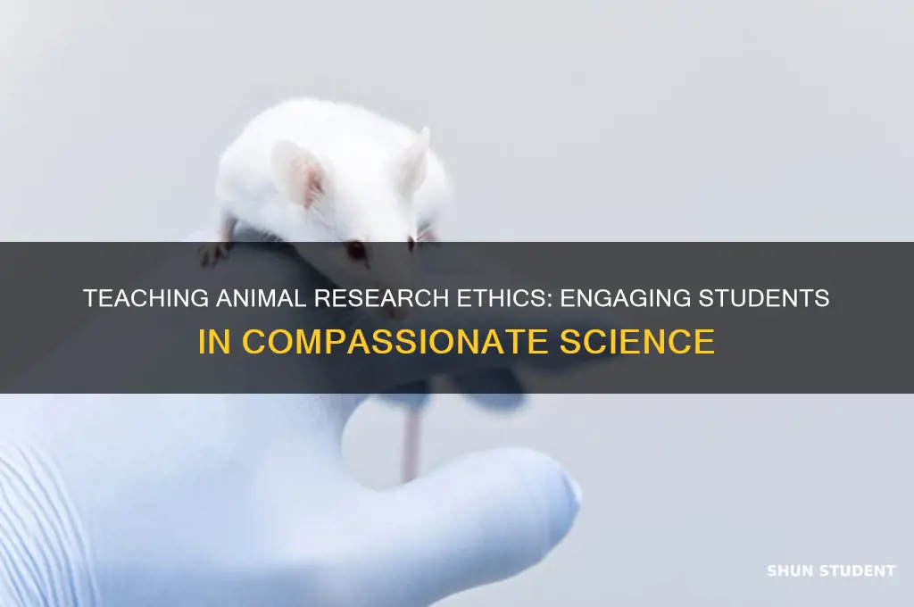 how to teach students about animal research