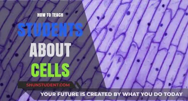 Unleashing the Microscopic World: Engaging Ways to Teach Students About Cells
