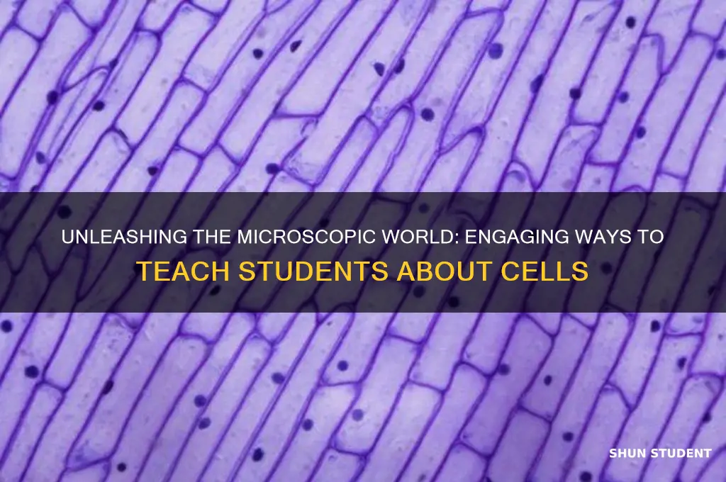 how to teach students about cells