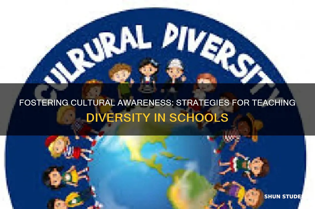 how to teach students about cultural diversity