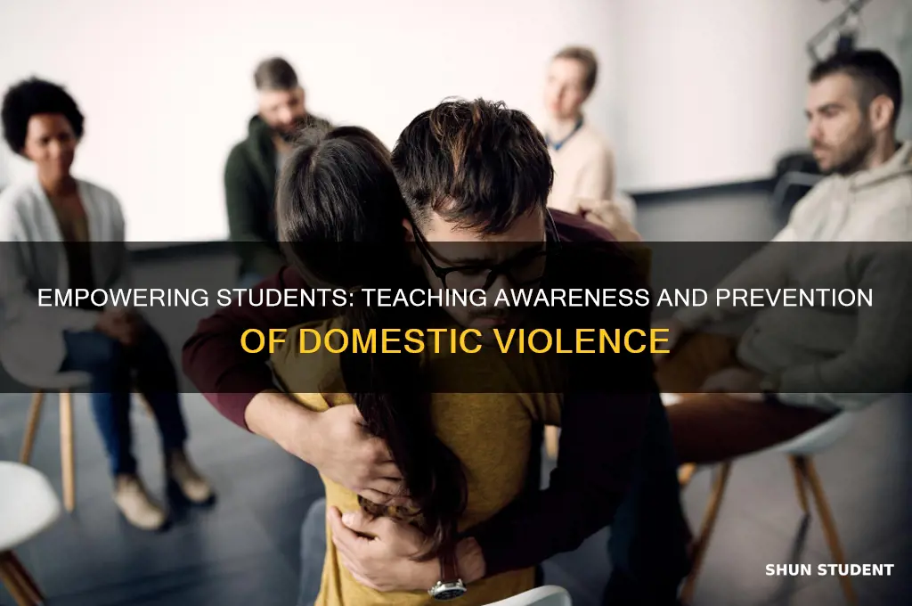 how to teach students about domestic violence