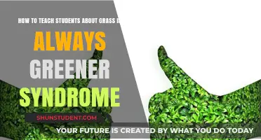 Teaching Contentment: Overcoming the 'Grass is Greener' Mindset in Students