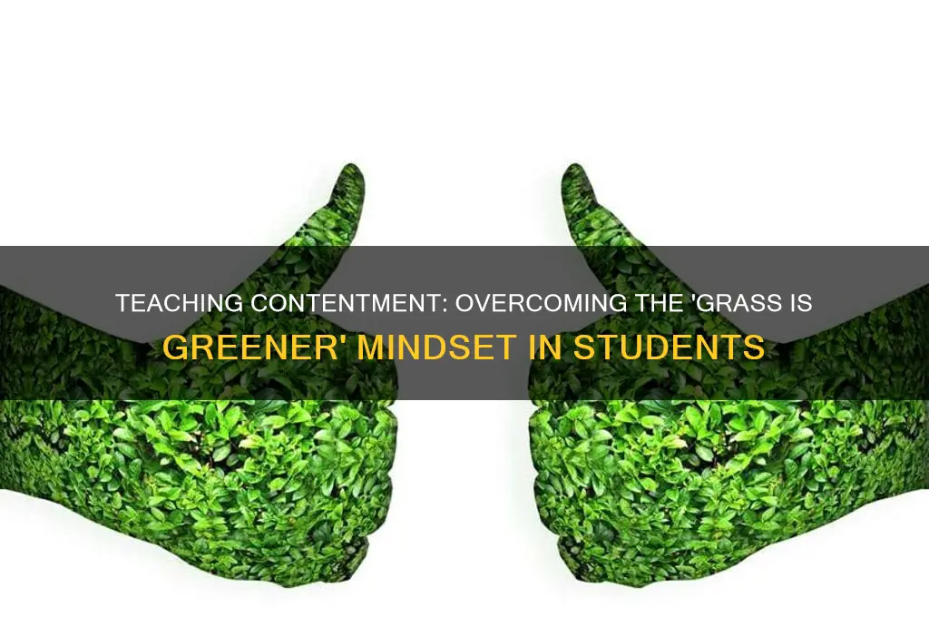 how to teach students about grass is always greener syndrome